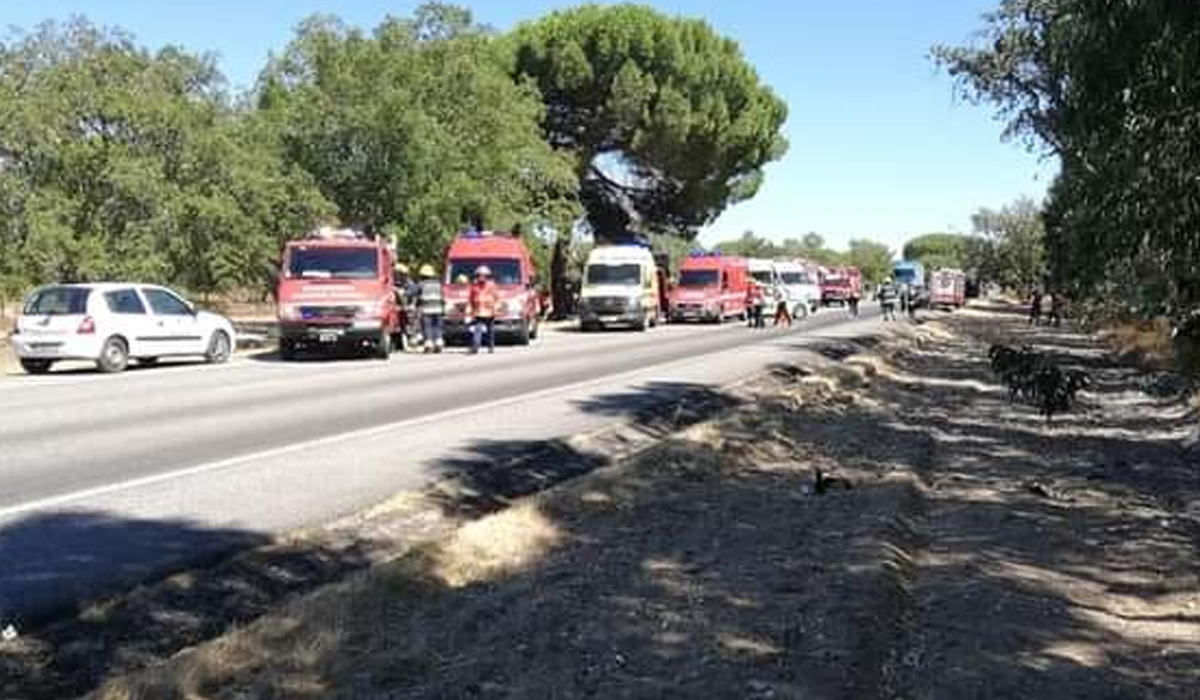 Read more about the article Viatura dos Bombeiros despista-se e capota na EN10. Há seis vítimas a registar