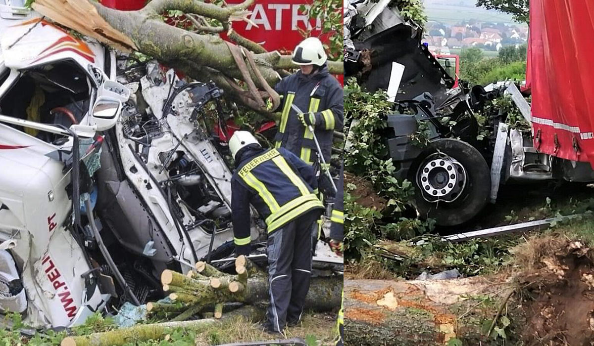 Read more about the article Célebre camionista português morre em aparatoso acidente contra árvore. Camião ficou desfeito