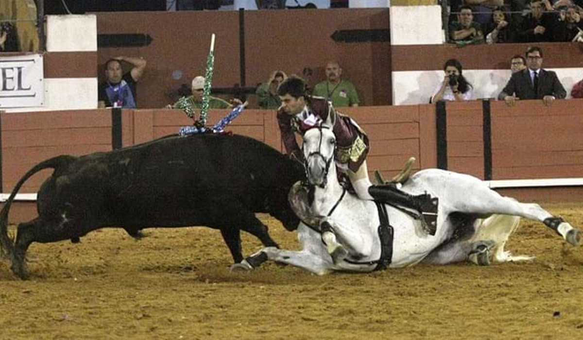 Read more about the article Queda de cavalo dita fim de João Moura Jr.