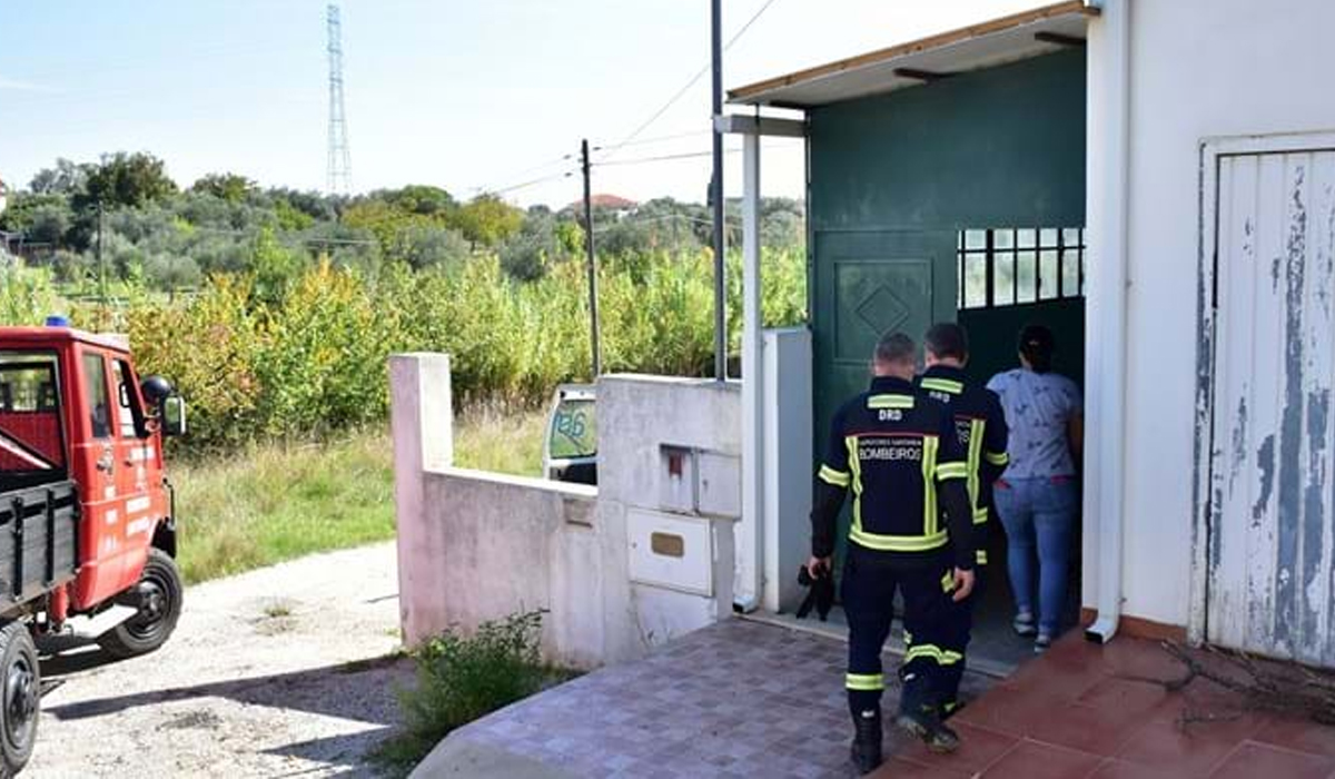 Read more about the article Mulher morre intoxicada após matar nove cães com veneno em Santarém