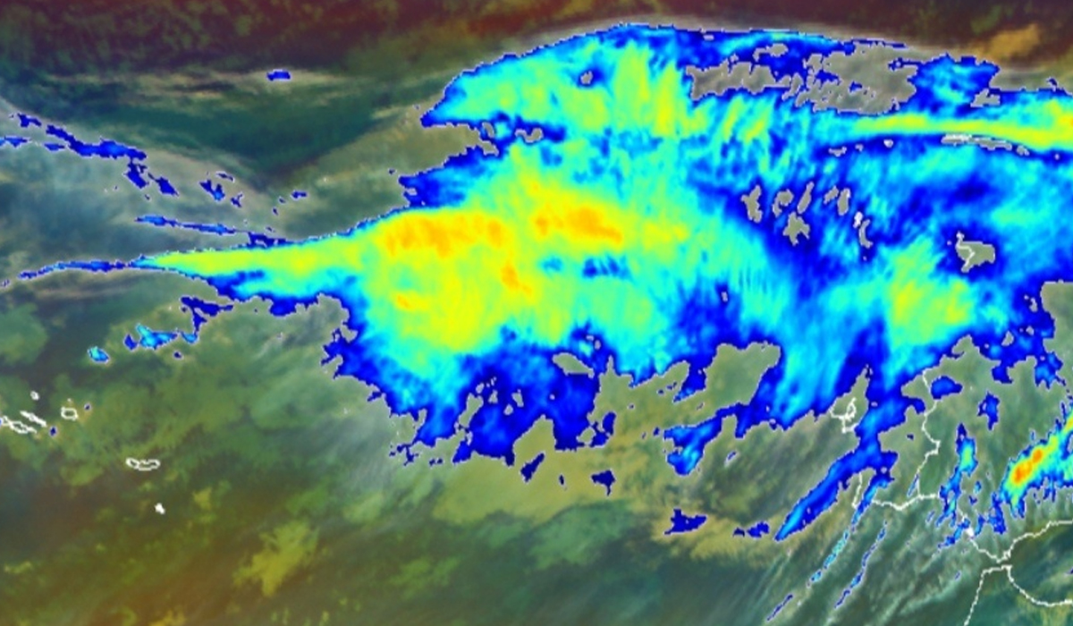 Read more about the article Cheias e queda de árvores: Proteção Civil lança novo alerta aos portugueses