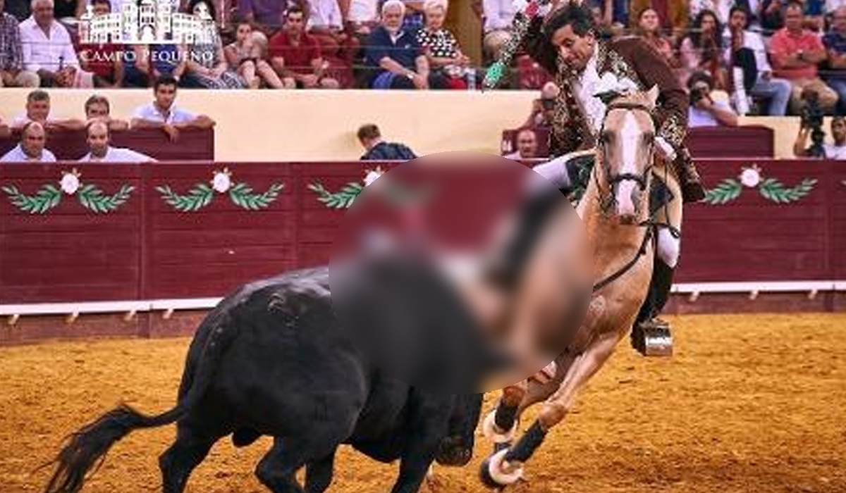 Read more about the article Touradas em Portugal são agora proibidas para crianças e jovens até aos 16 anos