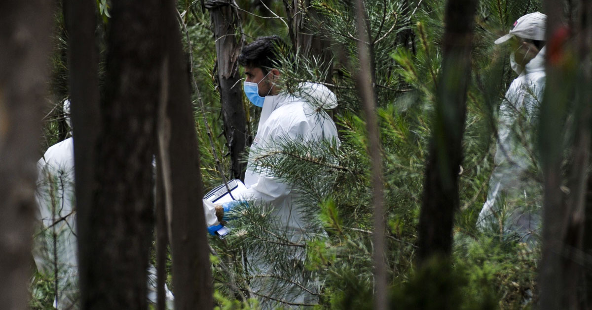 Read more about the article Criança de 3 anos desaparecida encontrada morta em Grândola junto ao pai de 40 anos. PJ investiga