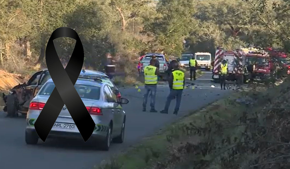 Read more about the article Irmãos de 2 meses e de 16 anos morrem em acidente. Mãe luta pela vida