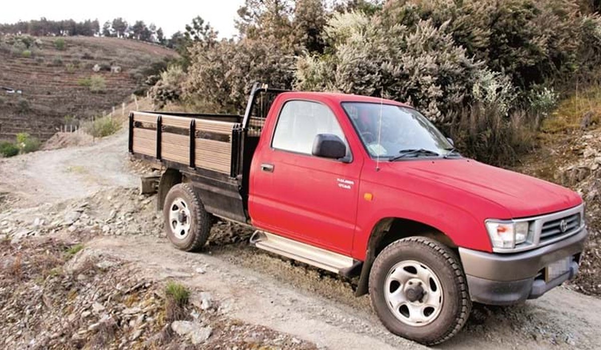 Read more about the article Passagem agrícola na origem do conflito que acabou com homem morto a tiro no Tabuaço