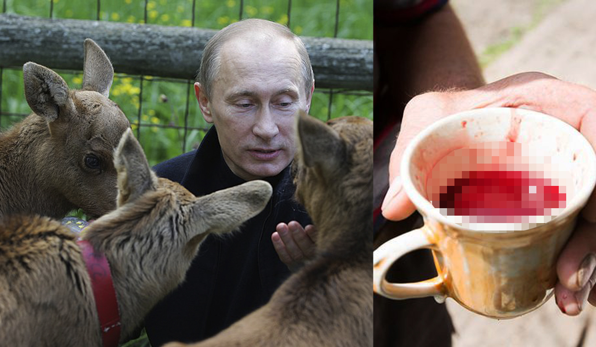 Read more about the article Banhos em sangue de veado: Os segredos de Vladimir Putin para não perder a potência durante o ato