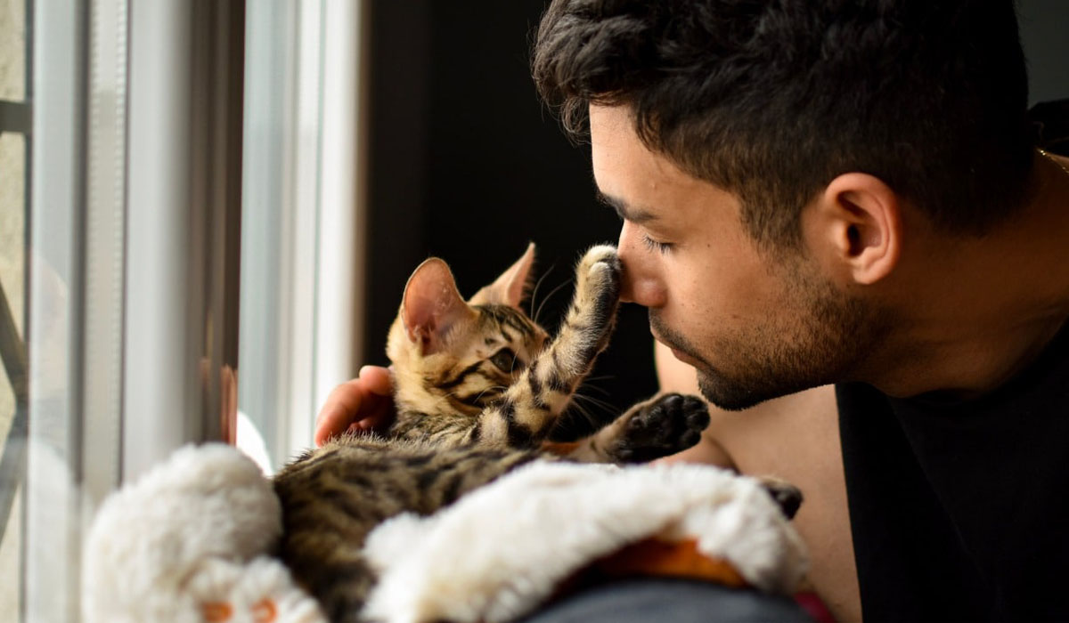 Read more about the article Tem gato de estimação? Estudo revela que é mais atraente e tem mais relações sexuais