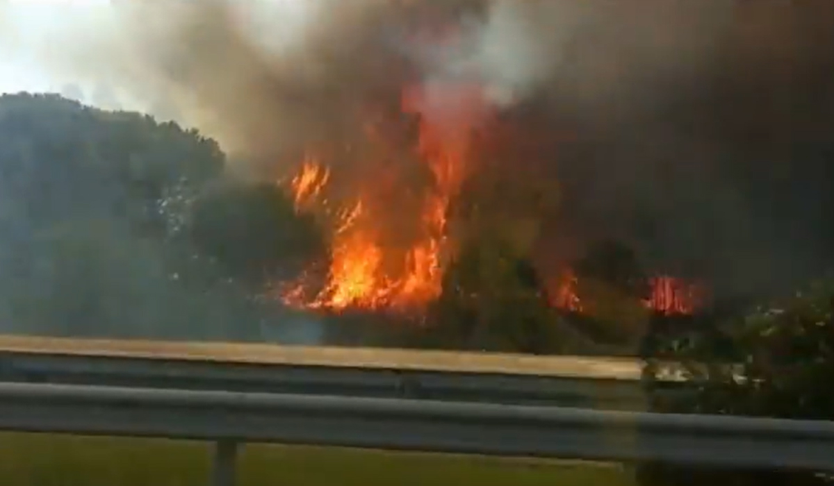 Read more about the article Mais de 100 bombeiros combatem as chamas num incêndio em Pegões, no Montijo