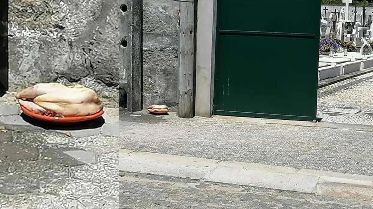 Populares de Serzedo assustados com descoberta de frango junto a portão do cemitério