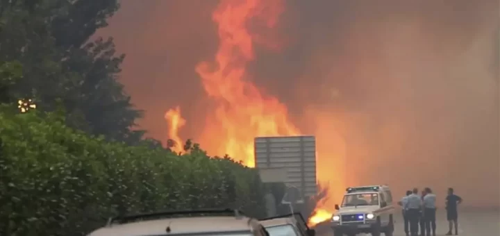 Quase 350 bombeiros combatem as chamas de incêndio na Guarda, junto à A23