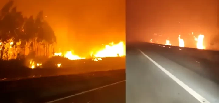Vídeo mostra cenário dantesco na A29 com fogo a invadir a autoestrada enquanto carros tentam escapar