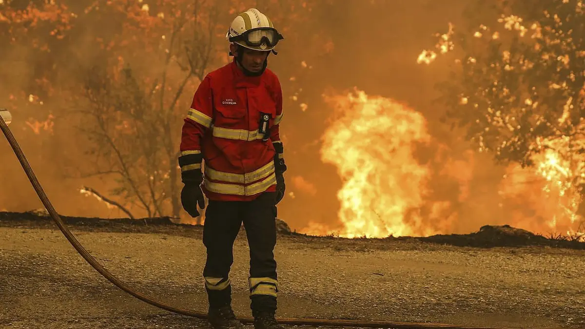 Incendiário detido por atear fogo em Oliveira de Azeméis já tinha sido apanhado em 2015 e 2020 e ficou sempre em liberdade