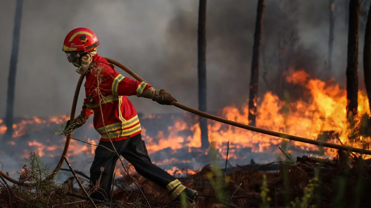 Incêndio em Ourém ganha nova força e ameaça chegar a Tomar