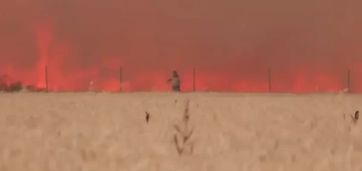 Vídeo aterrador mostra homem desesperado a tentar escapar de violento incêndio em Zamora