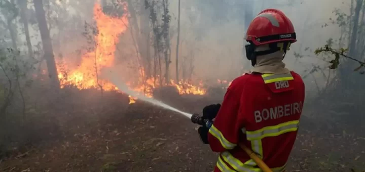 Bombeiros encontram mulher carbonizada ao combaterem fogo na Murtosa