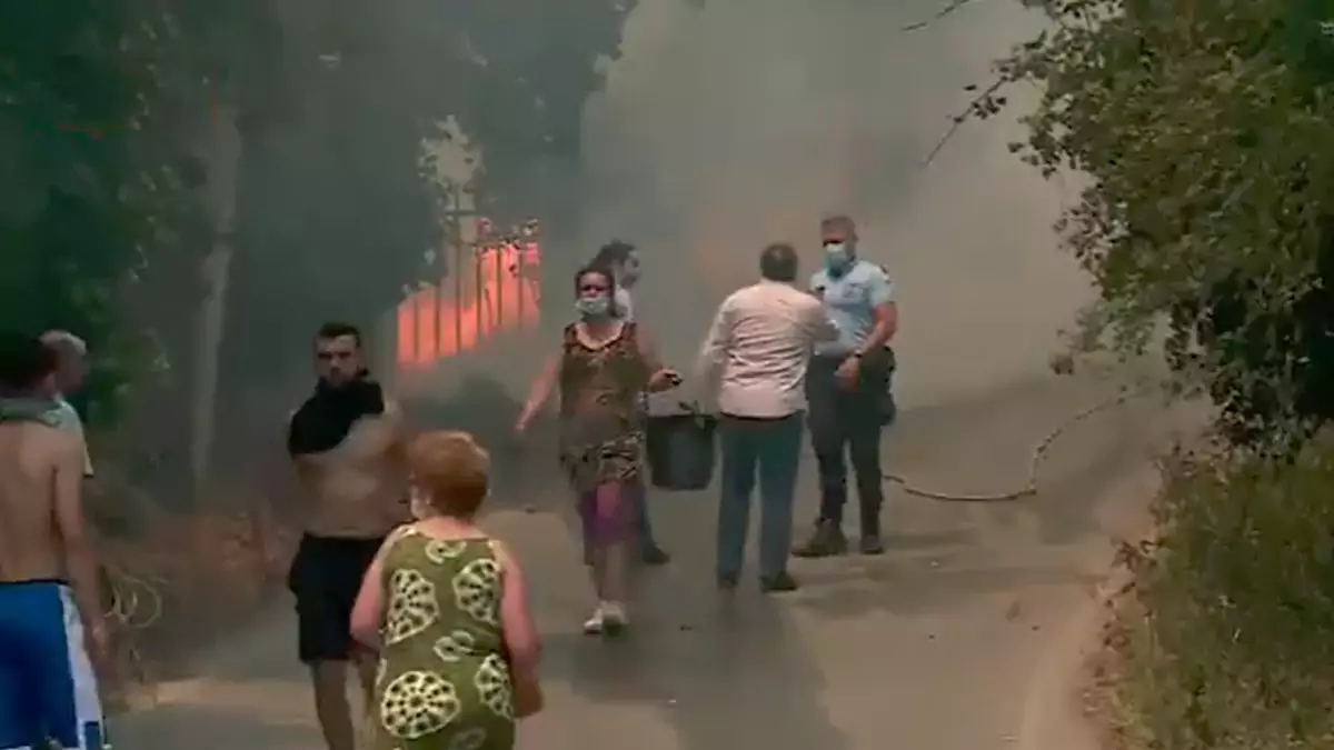 Incêndio de grandes dimensões em Sintra já mobiliza quase 200 bombeiros. Há casas em risco