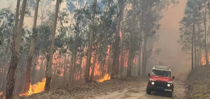 Jovem de 19 anos detido por atear incêndio florestal com isqueiro em Penafiel