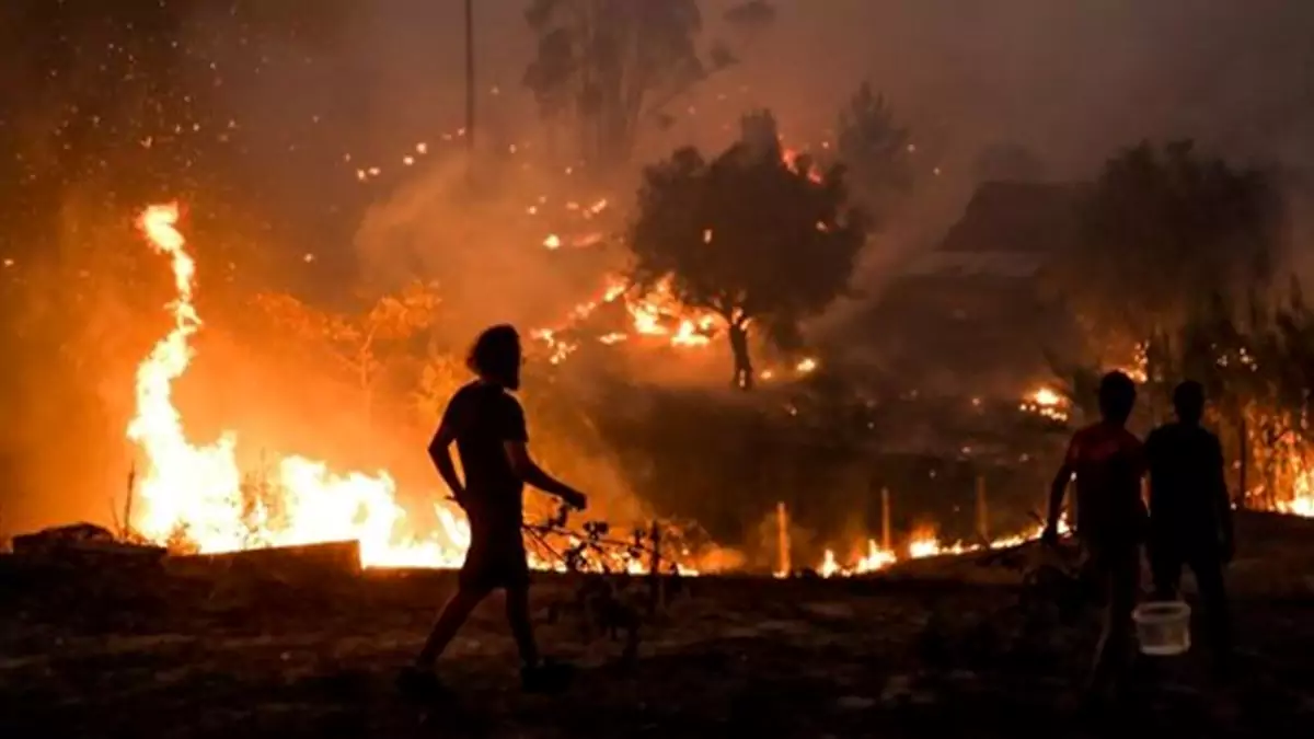 Incêndio em Ourém destrói por completo aviário e provoca prejuízo de 1 milhão de euros