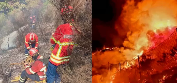 Carta aberta de um bombeiro aos "treinadores de bancada" que criticam atuação no fogo da Serra da Estrela
