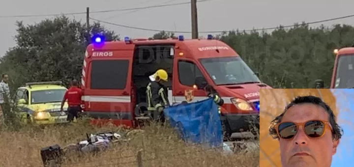 Javali na estrada mata motociclista em Évora