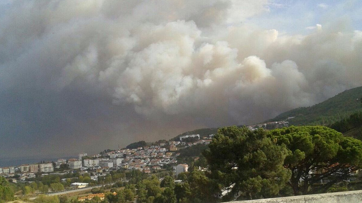 Read more about the article Incêndio de grandes dimensões consome parque natural da Serra da Estrela