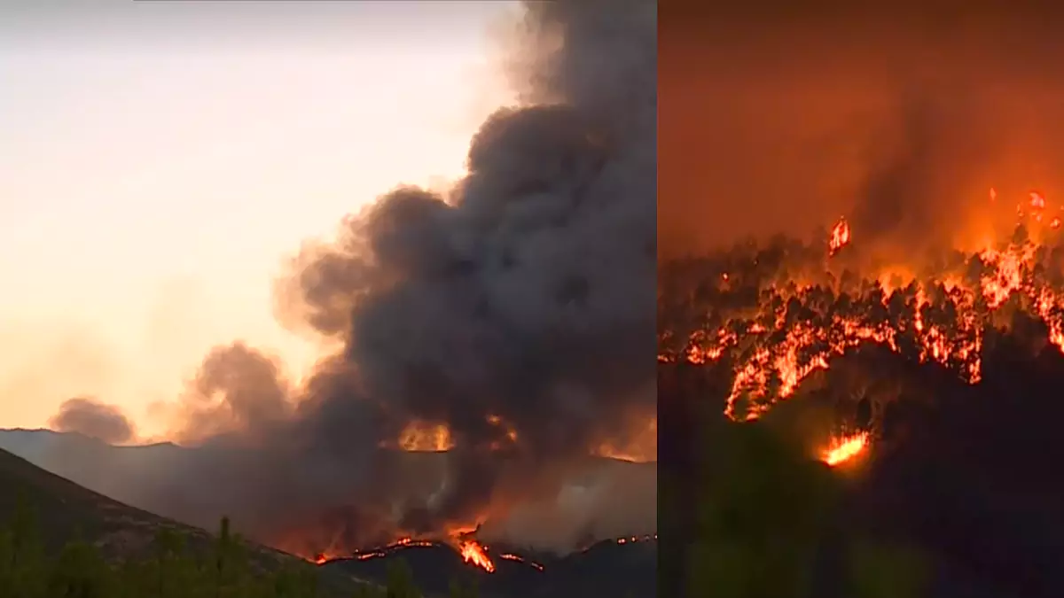 Mais de 600 bombeiros e 9 meios aéreos combatem inferno na Serra da Estrela