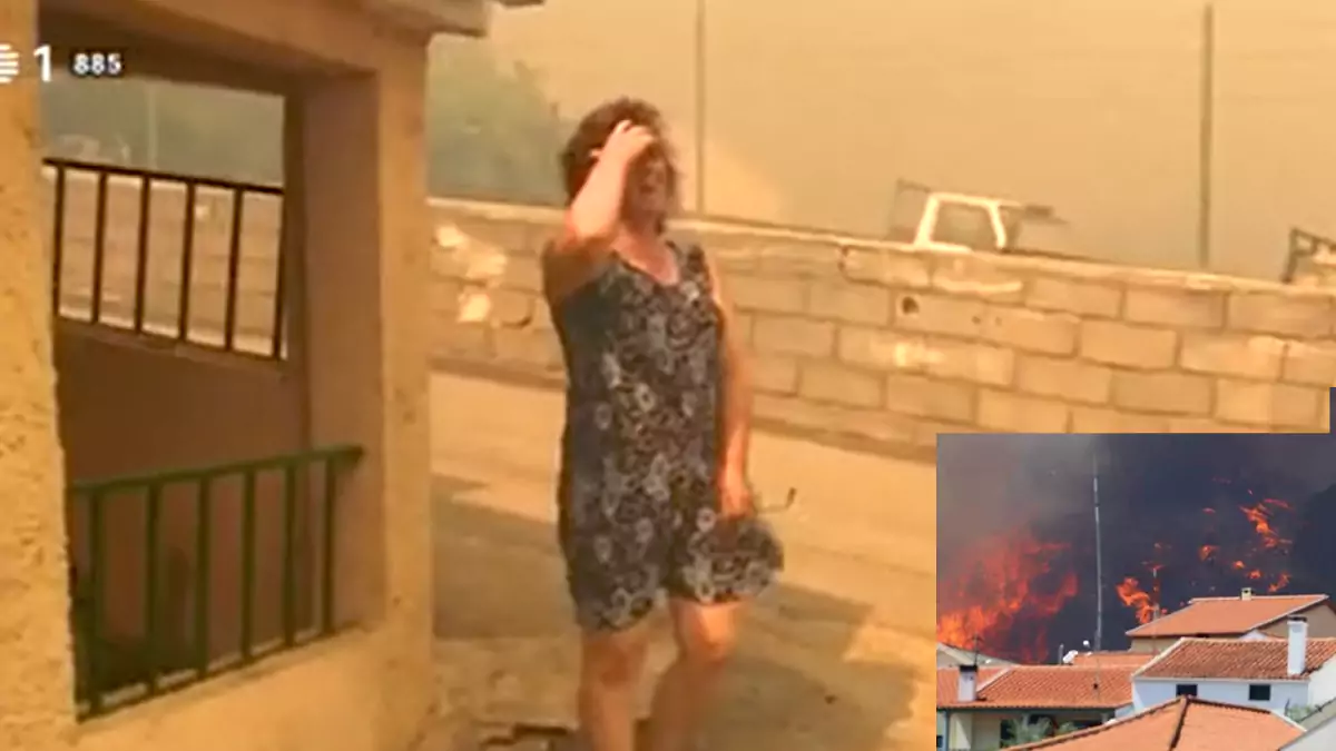 "Os bombeiros não valem nada": Mulher perde a cabeça com o fogo à porta de casa em Verdelhos
