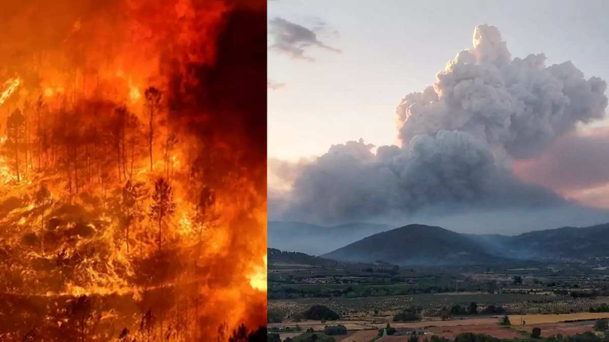 Serra da Estrela está a ser dizimada: Quase 1600 bombeiros lutam contra verdadeiro inferno