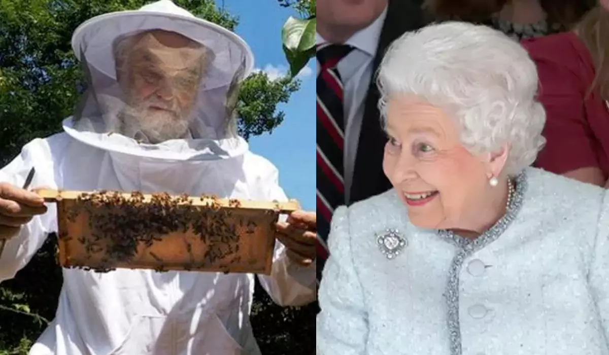 Apicultor do Palácio Real já informou as abelhas da morte da Rainha Isabel II