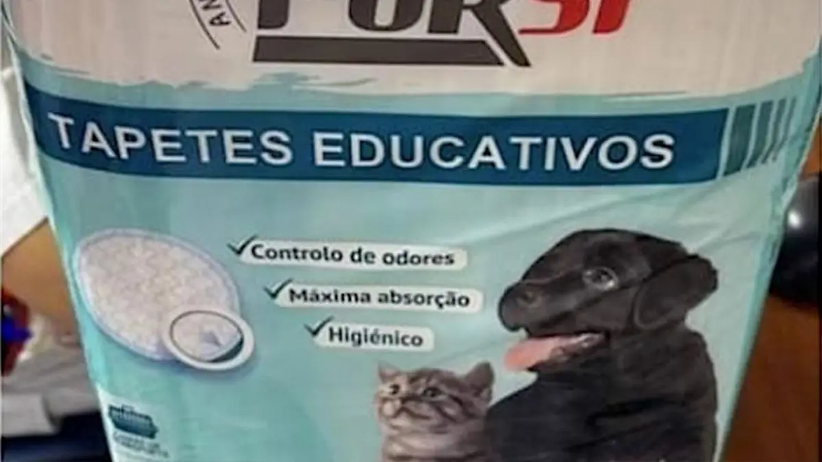 Bastonária dos Enfermeiros denuncia utilização de resguardos para cães e gatos em utentes no Hospital de Faro