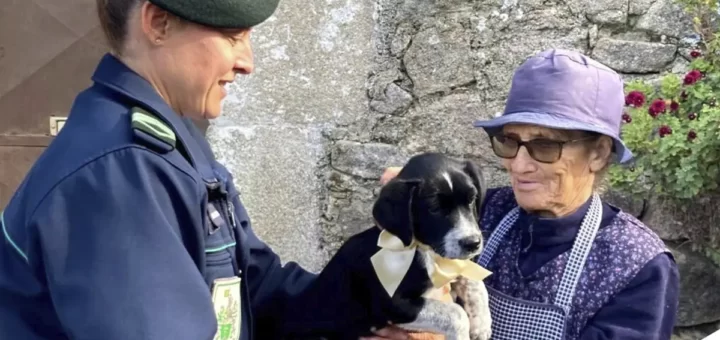 Militares da GNR oferecem cachorrinho a idosa triste pela morte de animal de companhia