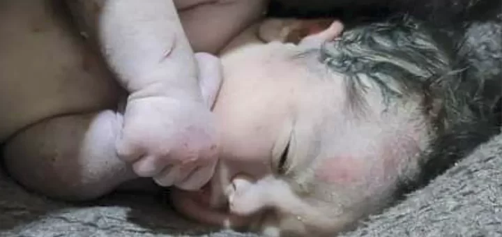 Bebé nasce nos escombros de edifício na Síria e é resgatado com vida