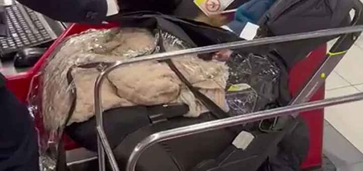 Casal abandona filho bebé no aeroporto depois de recusar pagar bilhete de avião da criança