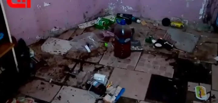 "Tinham pulgas e carraças": Três crianças retiradas aos pais em Setúbal por viverem em condições deploráveis